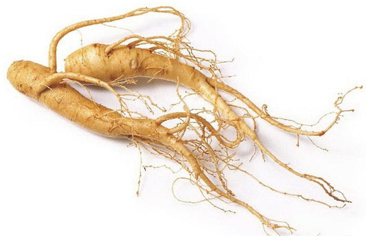 Ginseng Benefits