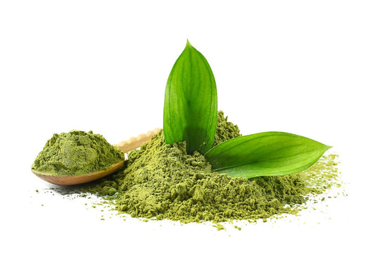 Green Tea Matcha-Essential Things You Ought to Know