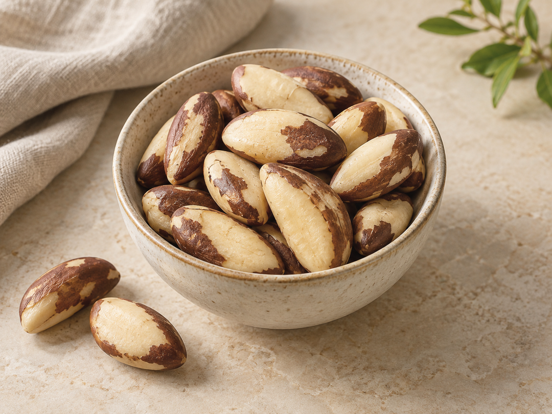 Editorial illustration: A small ceramic bowl of whole Brazil nuts, brown skins and ivory kernels clearly visible.