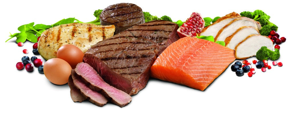 Looking To Increase Your Protein Intake? You Can't Miss These 10 Foods