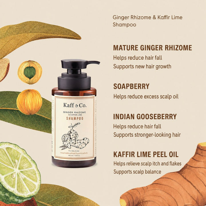 Kaff & Co Ginger Rhizome and Kaffir Lime shampoo ingredients in English