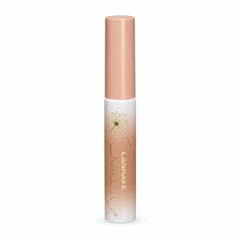 CANMAKE Smart Mini Eyebrow Color | 1 Pack | 4.9 g — one retail unit