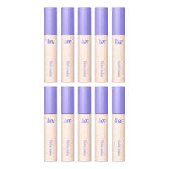 beWiLD Skincealer High-Coverage Matte Concealer — 10 Tubes | 6 g Each — exactly 10 retail units shown on white background.