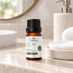 Plantnery Tea Tree Chapter Oil 10 ml on bathroom vanity