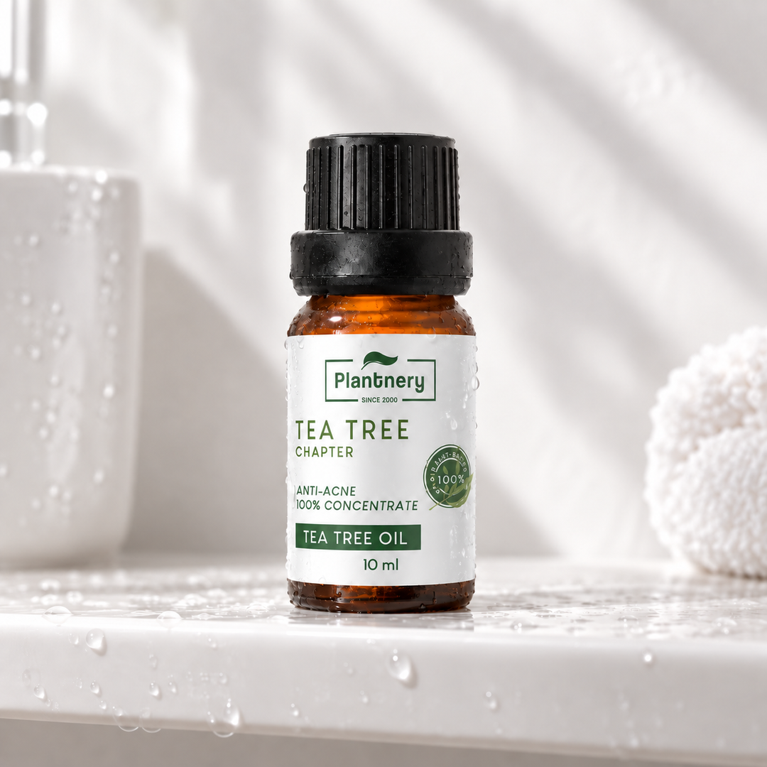 Plantnery Tea Tree Chapter Oil 10 ml on spa shelf