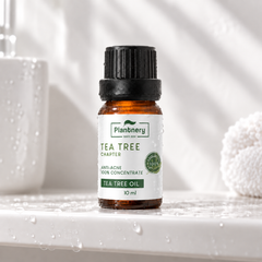 Plantnery Tea Tree Chapter Oil 10 ml on spa shelf