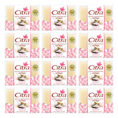 Citra Pearl Powder Scrub Soap 110 g | 12 Packs — 12 separate retail units shown on white background
