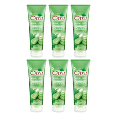Citra Fresh White Aura Gel Aloe Vera & Mint 180 ml | 6 Packs — 6 separate retail units shown on white background