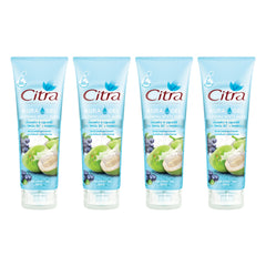 Citra Glowing White Aura Gel Coconut & Algae 180 ml | 4 Packs — 4 separate retail units shown on white background